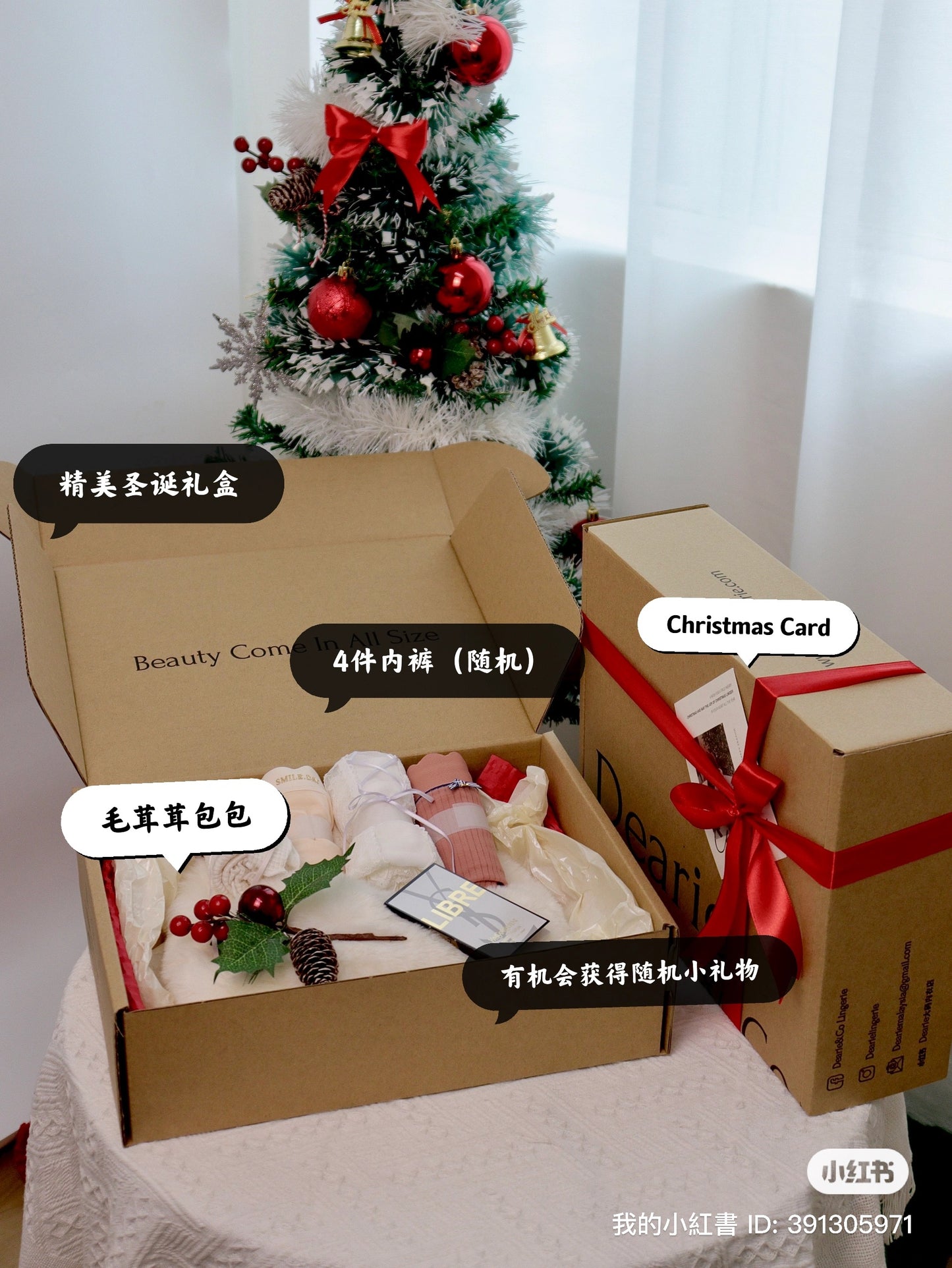 【Panties】Christmas Panty Set (come with fur bag and 4 panties)